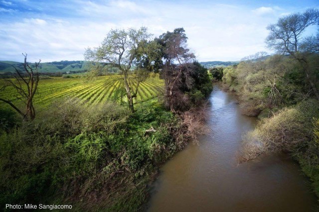 Mais do que vinho: Perspectivas sobre os valores locais e as paisagens da vinha